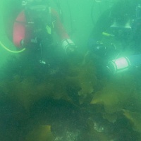 Chris Roy and Lee Ann Thayer approaching a Habitat Mooring at Seal Harbor, Maine. The mooring is completely covered in aquatic plants and virtually unrecognizable.